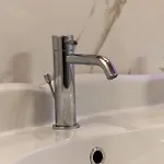 The Rose Sienne