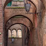 The Rose