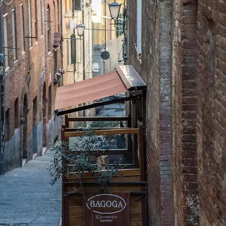 The Rose Daire Siena